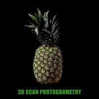 3D scan pineapple